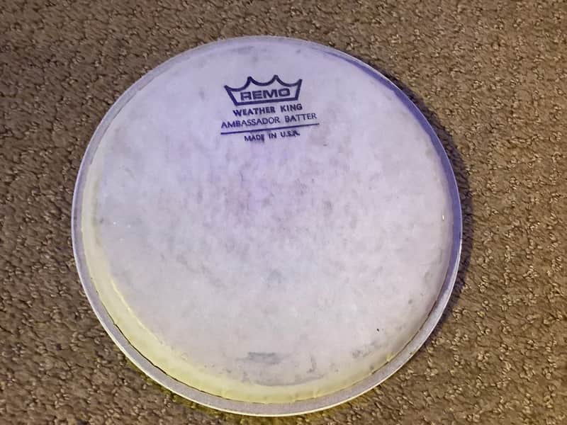 Remo Coated ambassador