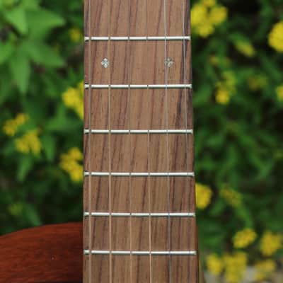 Martin GPC-15ME Special 2021 - Mahogany image 16