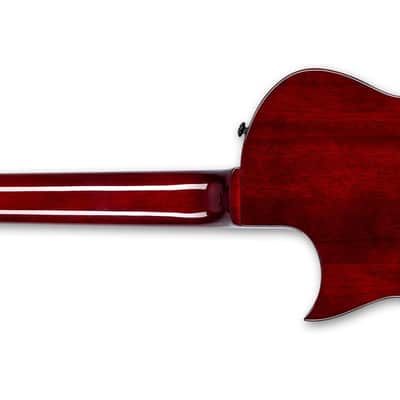 ESP LTD EC-201FT Electric Guitar See Thru Black Cherry B-STOCK EC201FT EC 201 FT image 2