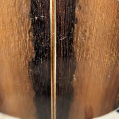 Washburn Parlor 1923 Pre-War II - Brazilian Rosewood back image 14