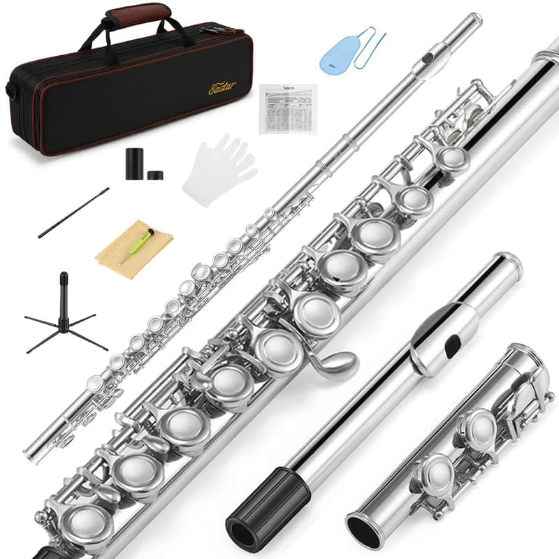 Concert Flute for Students – Beginner School Band Flute with Carry Case, Stand, Cleaning Kit & Accessories image 1
