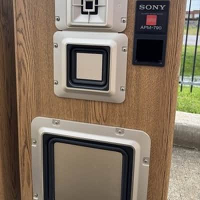 Pair Of SONY APM-790 Speaker System⭐️Great Condition⭐️Wood⭐️Working Confirmed image 3