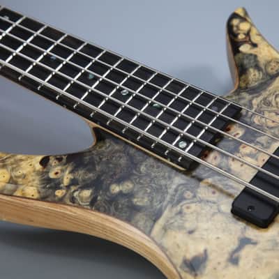 BQW Tavern series 5 string Bass image 10
