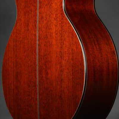 ON HOLD - Santa Cruz FS (Fingerstyle) MC Custom image 19