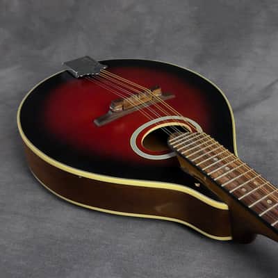 J. Reynolds JRMAN20 A-Style Mandolin image 24