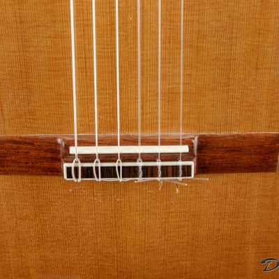 1995 Blanchard Classical, Indian Rosewood/Cedar image 6