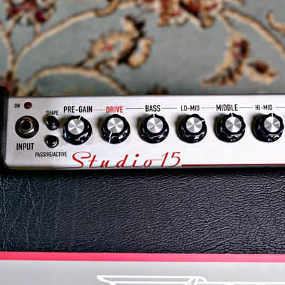 Ashdown Studio-15 300-Watt 1x15" Bass Combo image 9