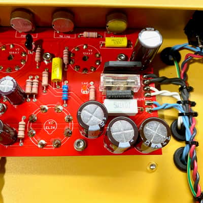 Ace Amplification Colt image 13
