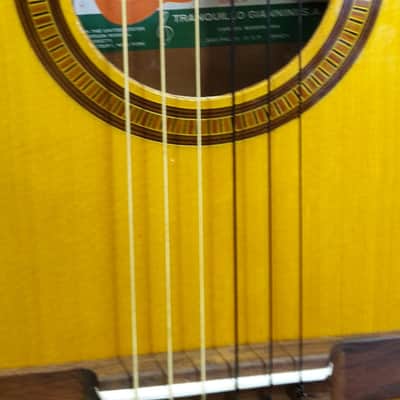 Giannini GN50 1970's Natural Classical Guitar image 1