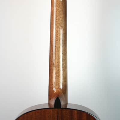 Cordoba C5 Cedar Top Nylon String image 6