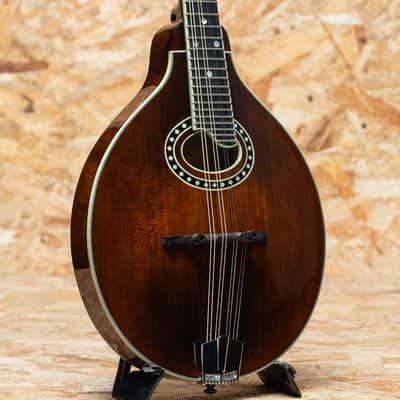 Eastman MD504 2022 imagen 1