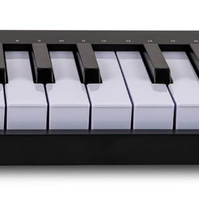 Arturia MICROLAB MK3 Black 25-Key MIDI USB Keyboard Controller+Pro Software image 3