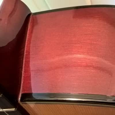 Takamine EG-230 Acoustic/Electric Guitar--Exc Cond.; EQ & Volume Controls; w/ Original HSC & Manuals image 14