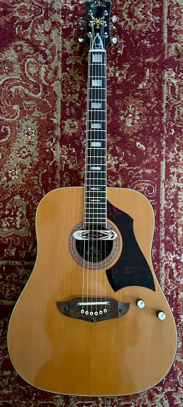 Eko Rio Bravo 6. 1970-ish - Natural with Deltaluxe sound hole pickup image 1