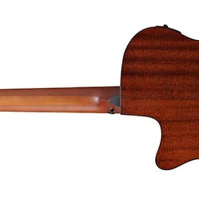 Ibanez AEGB24E 4-String Acoustic-Electric Bass Guitar, Sapele Top, Black image 3