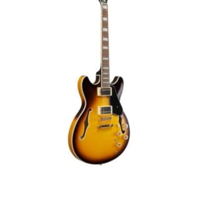 Ibanez JSM10EM TTB John Scofield image 3