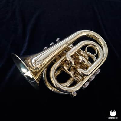 Jupiter pocket trumept case mouthpiece trumpet GAMONBRASS image 2