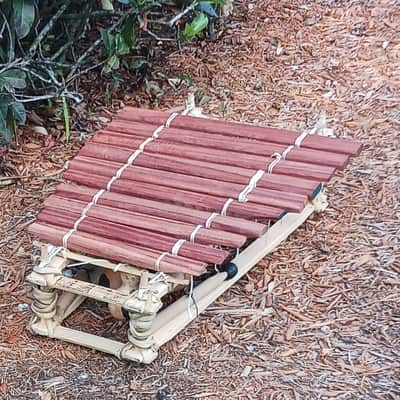 balafon/bala/balan/balani (West African-style gourd resonated xylophone) image 4