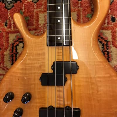 Pedulla '87 Buzz Bass - Lefthanded - Fretless image 3