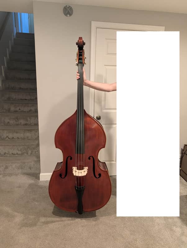 Samuel Shen SB150 5/8 Upright Bass image 1