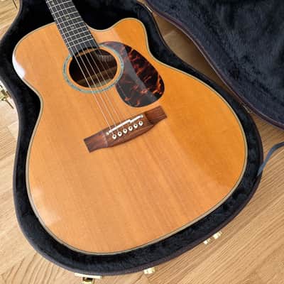 Takamine DMP700 MRC Spruce/Madagascar Rosewood 2008 Japan image 1