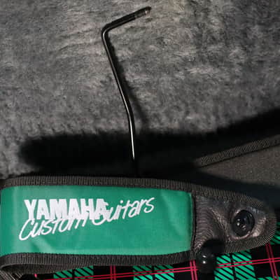 Yamaha RGZ820R Blues Saraceno 1993 Watermelon Plaid image 18