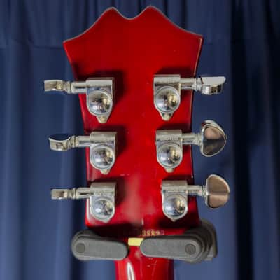Agile Lefty Les Paul Copy Signed by Dweezil Zappa in 2018 image 16