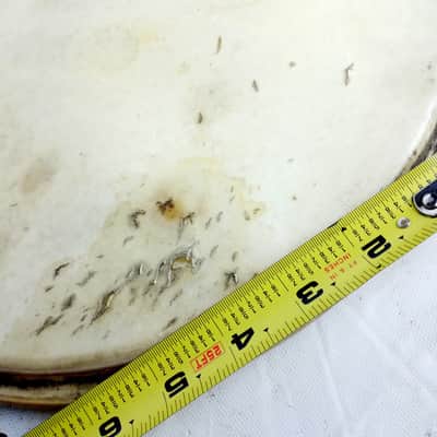Leedy/Ludwig 13" Calf Skin Rack Tom Drum Head Batter Vintage 50s USA some holes image 2