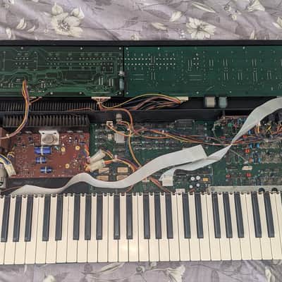 Fender Rhodes Chroma Polaris Analog Synthesizer MIJ 80s Vintage LOOK image 12