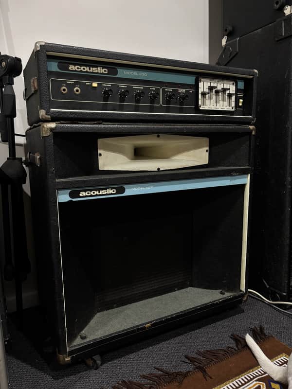 Acoustic Model 230 head with 407 Cab image 1