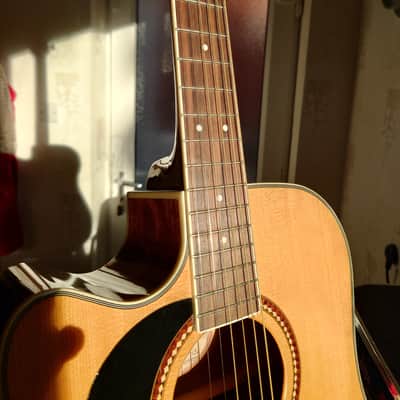 Washburn D10SCE 2020s - Natural - Price Reduced image 2