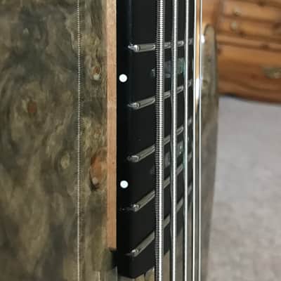 Devon J5 Modern Buckeye Burl image 4