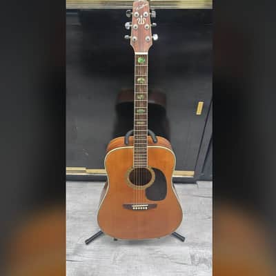westbury acoustic guitar image 1