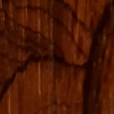 Santos Parlor guitar circa 1910 - Brazilian Rosewood image 5