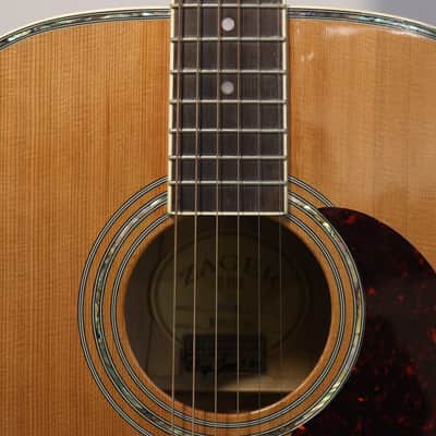 Zager ZAD-80 Acoustic Guitar Signed W/ Case image 5