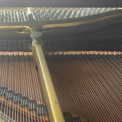 Brambach Grand Piano for under $1000 image 4