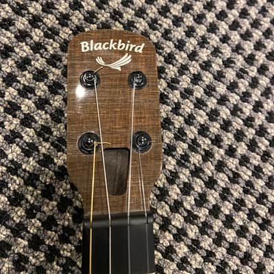 Blackbird Farallon Ekoa Tenor Ukulele w/ Sound Port and Radius Fretboard image 4