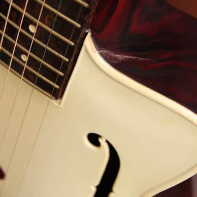 Maccaferri G40 Hollowbody Acoustic Guitar Circa 1950's USA Pre-Owned image 10