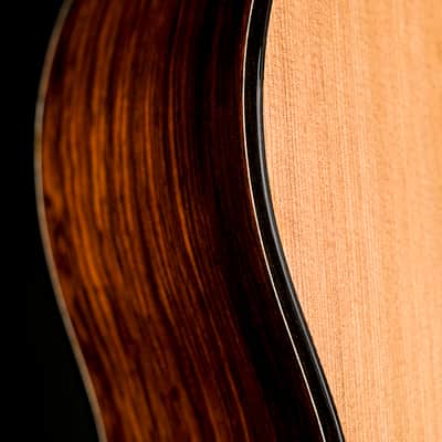 Turkowiak double-top 8 string classical guitar No 672 Opus Prime image 7