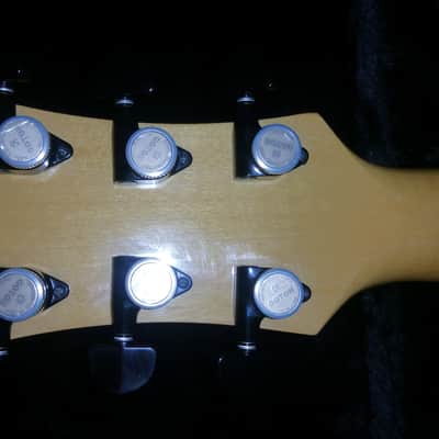 Fernandes/Burny MG-100X Hide Model Mockingbird Electric Guitar (Excellent) image 12