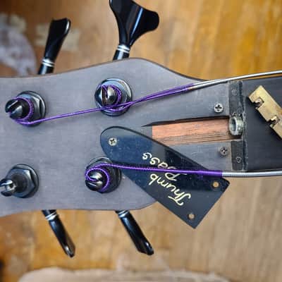 1994 Warwick Thumb NT Neck-Through 4-String Fretless image 18