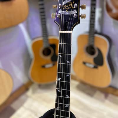 Epiphone Masterbilt Zenith 2016 - Vintage Sunburst image 4