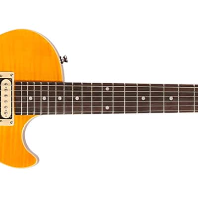 Epiphone Slash "AFD" Les Paul Special II Appetite Amber w/ Gig Bag & Accessories image 2