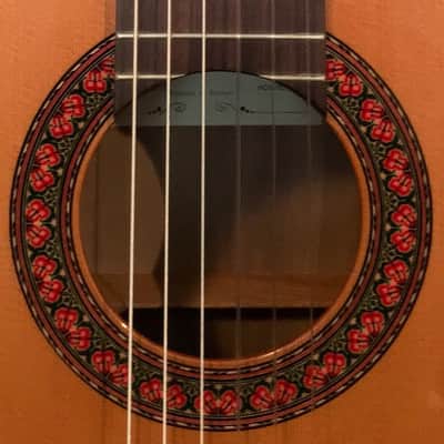 Almansa 424 Ziricote/Cedar Classical Guitar 2017 image 4