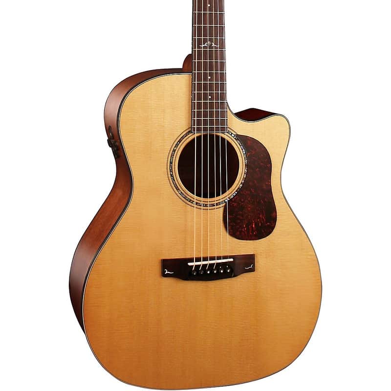 Cort Gold A6 Grand Auditorium Acoustic-Electric Guitar Regular image 1