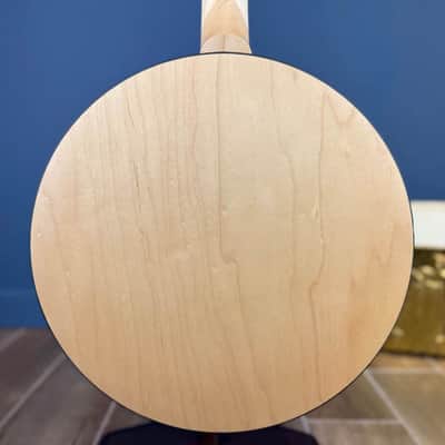 Deering Goodtime Special Banjo - Right Handed image 5