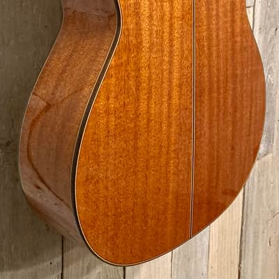 New Cordoba C9 Cedar Classical Natural, Stunning Guitar, Support Small Business & Buy it Here ! image 9