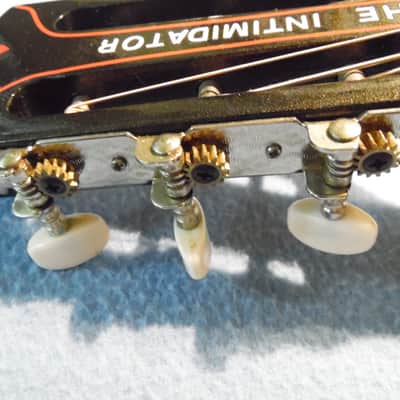Custom Shop Guitar (Dale Earnhardt Sr.) image 15
