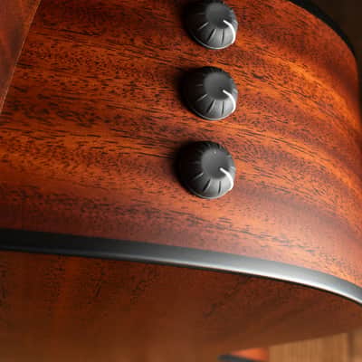 Taylor 324ce - Shaded Edge Burst - Free Shipping image 10