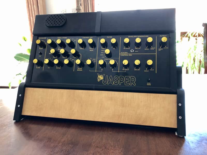 Jasper Synth DP WASP clone with 3D printed enclosure and desktop stand image 1